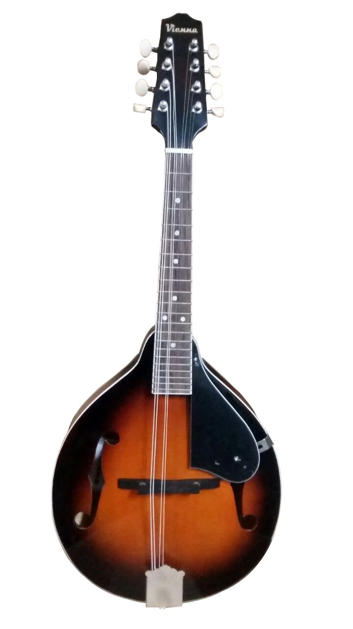 Jual Mandolin Vienna Lm1f 3714